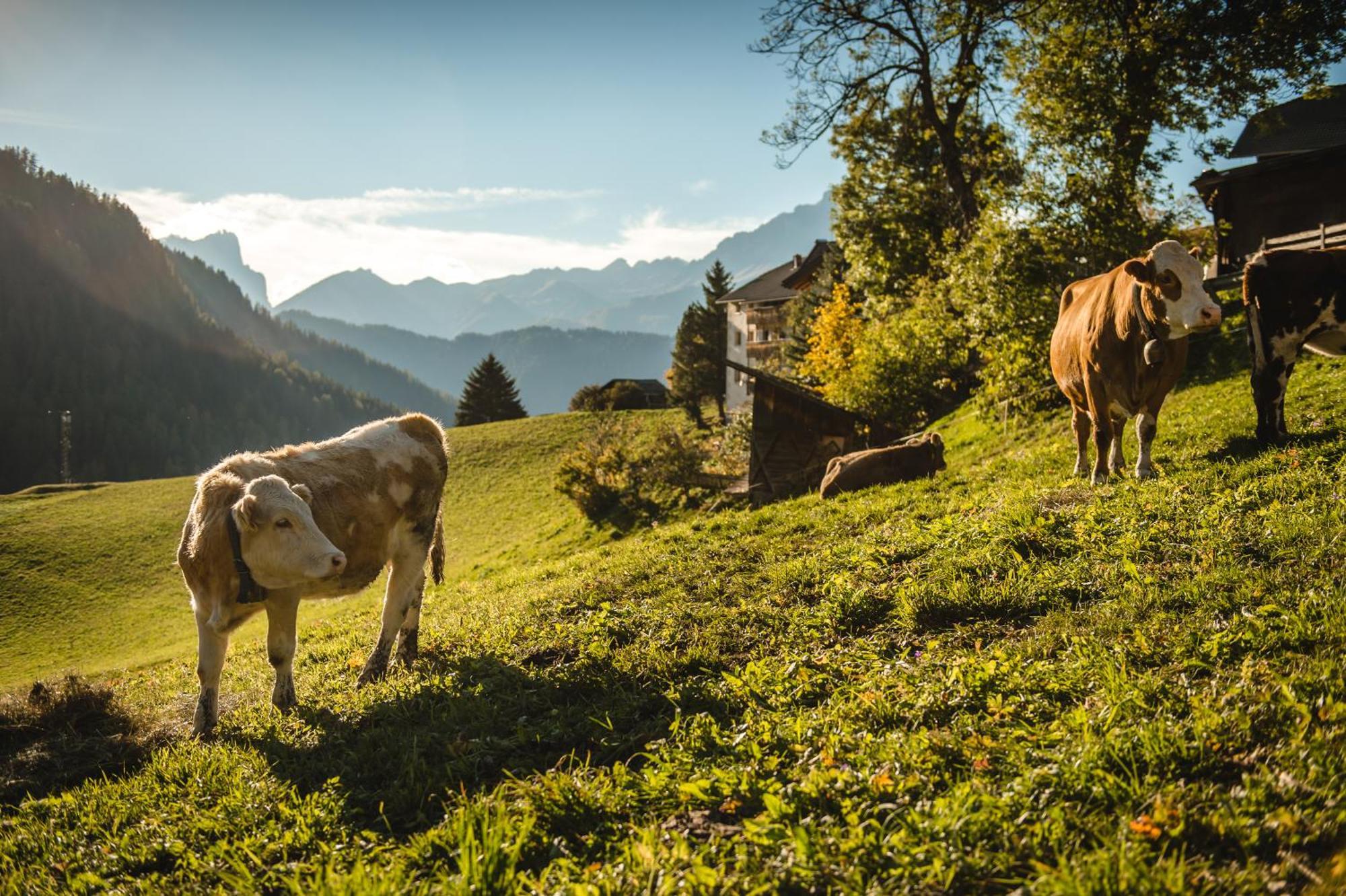 Vila Maierhof La Valle Exteriér fotografie